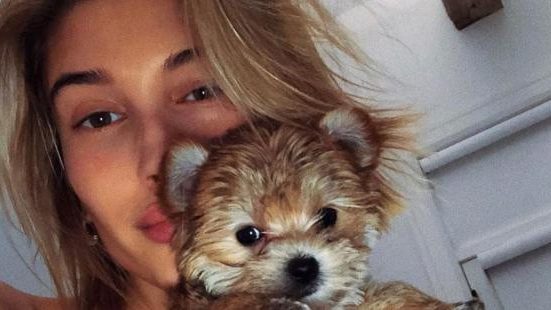 cropped haileypupsocial 1 Justin Bieber Hailey