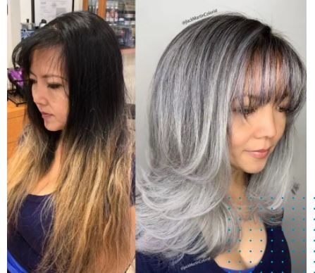 20 1 la beauté des cheveux gris