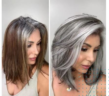 24 la beauté des cheveux gris