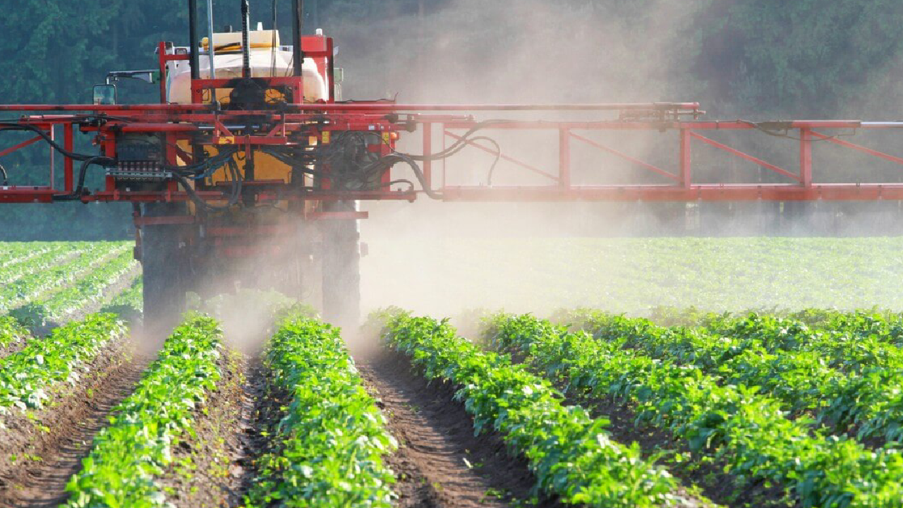 Alerte Pesticides : Selon une étude ce légume serait le plus contaminé en 2023
