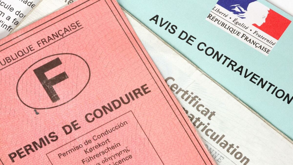 La fin du permis de conduire rose ce qu’il faut savoir pour être prêt avant 2033